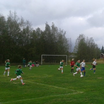 Vemdalen - All information om vemdalenområdet.