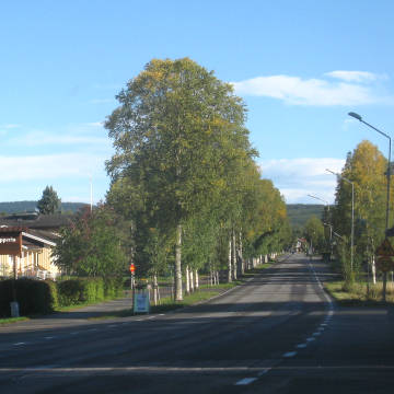 Vemdalen - All information om vemdalenområdet.