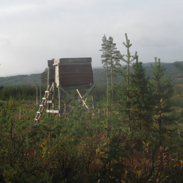 Vemdalen - All information om vemdalenområdet.