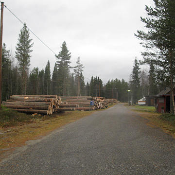 Vemdalen - All information om vemdalenområdet.