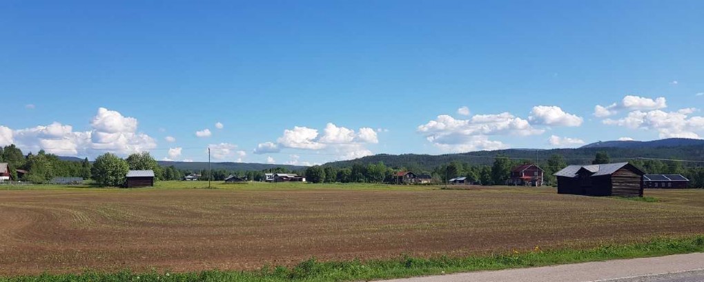 TILLVÄXT