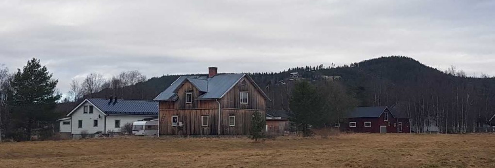 NYGAMMALT