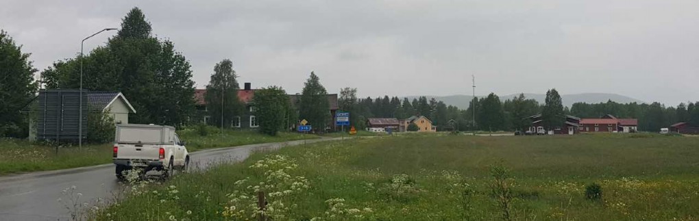 SMÖRBLOMMOR I VEMDALEN BY