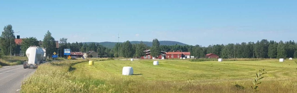BARA EN ÄR GUL
