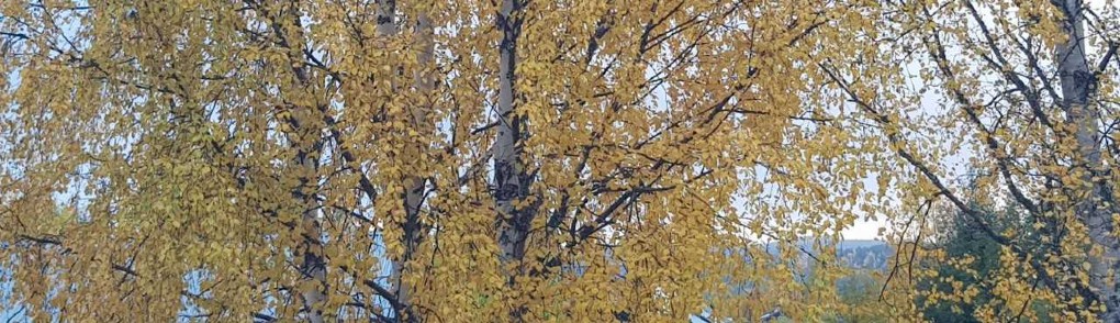 HÖST
