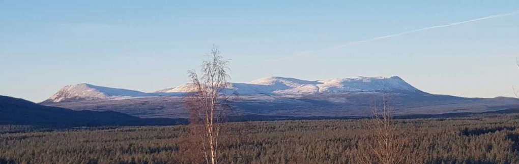 SONFJÄLLET 1278 möh.<br type=