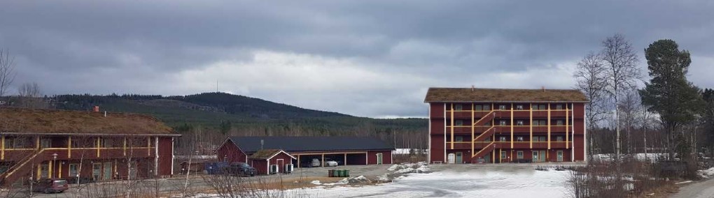 HALVERAD MATMOMS IDAG