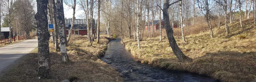 VÅRBÄCKAR