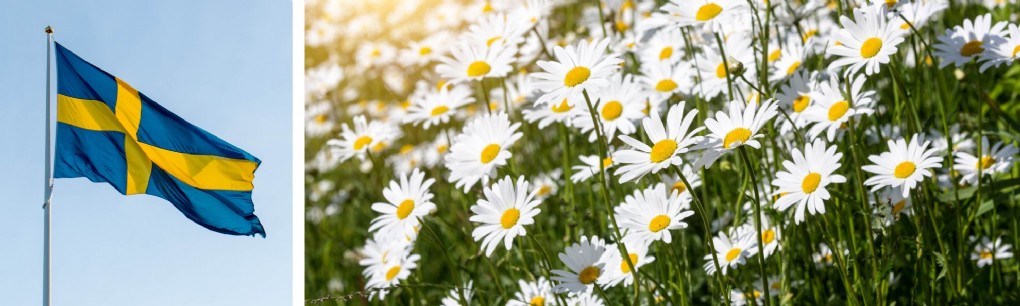 DEN BLOMSTERTID NU KOMMER…