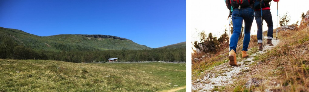 TORSDAGSVANDRING
