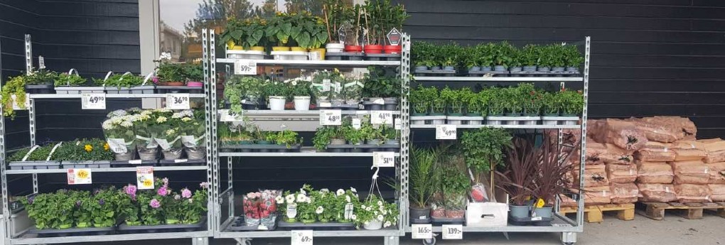 BLOMMOR & VED
