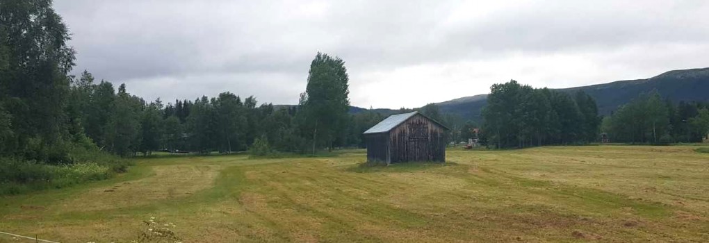 EN VANLIG HÖLADA<br type=