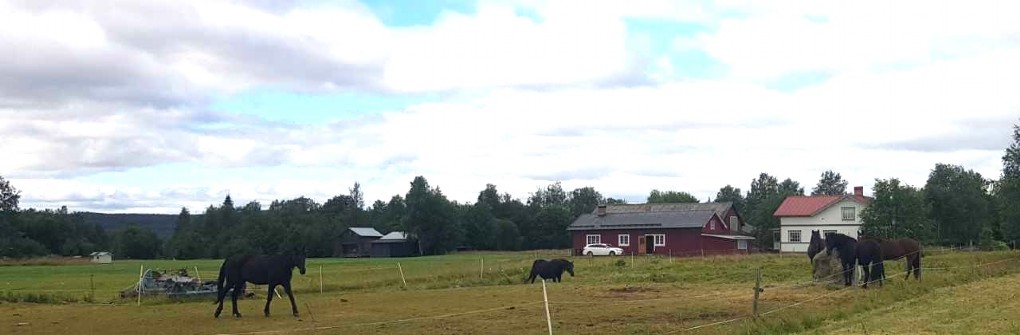 BÖRDIGT BETE I HAGEN