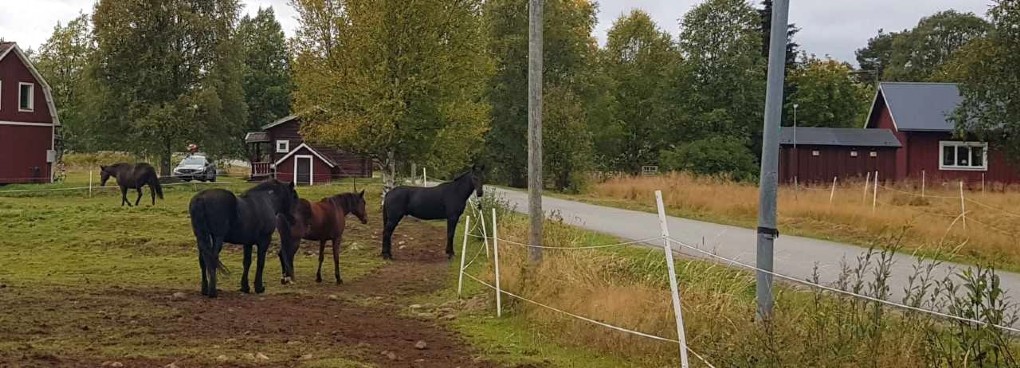 FESTEN ÄR ÖVER