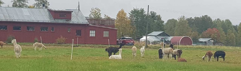 RUGGIGT