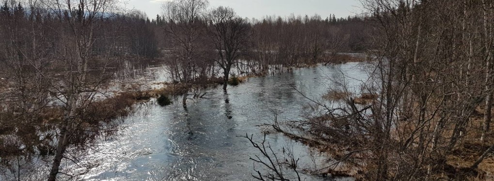 VÅRFLODEN