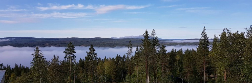 STRÅLNINGSDIMMA