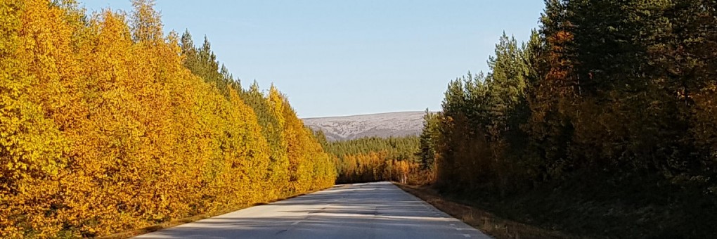 HÖST