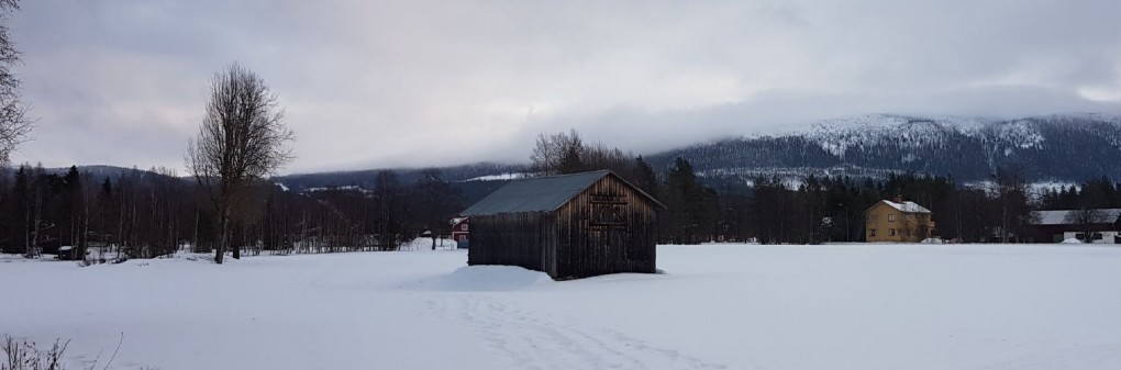 SNÖ?