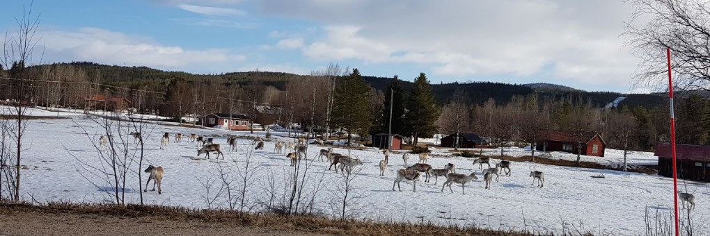 PÅ GÅNG