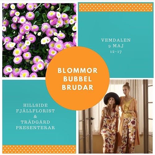 ModeklÀder - Pop Up Butik