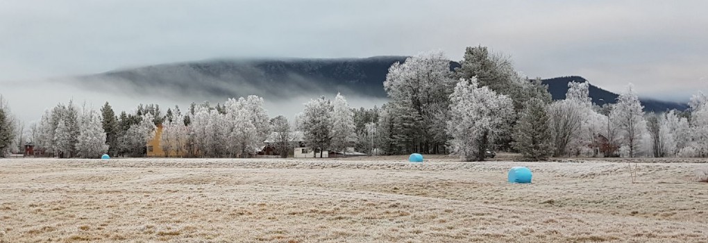 HÖGFJÄLLET