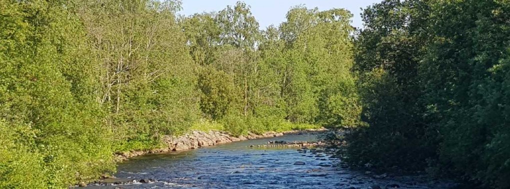 LÅGVATTEN